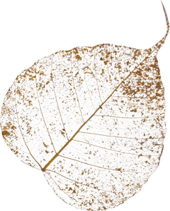 タイの癒しを象徴する菩提樹の葉のイメージ